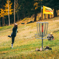 person putting disc golf disc into basket